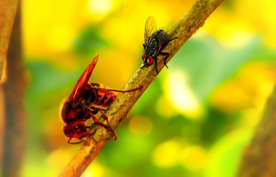 Curiosity sprig work