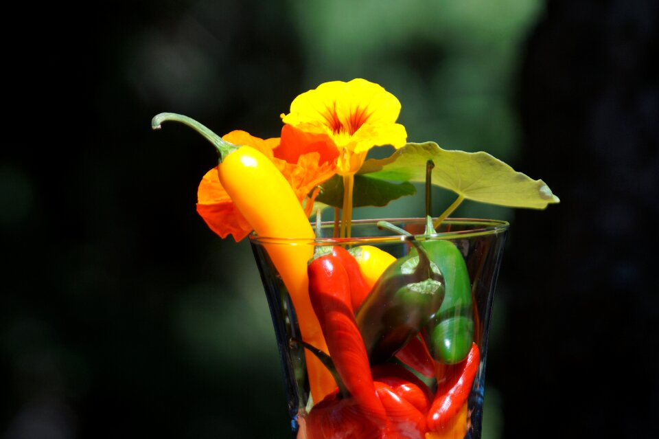 Chili cook ingredient