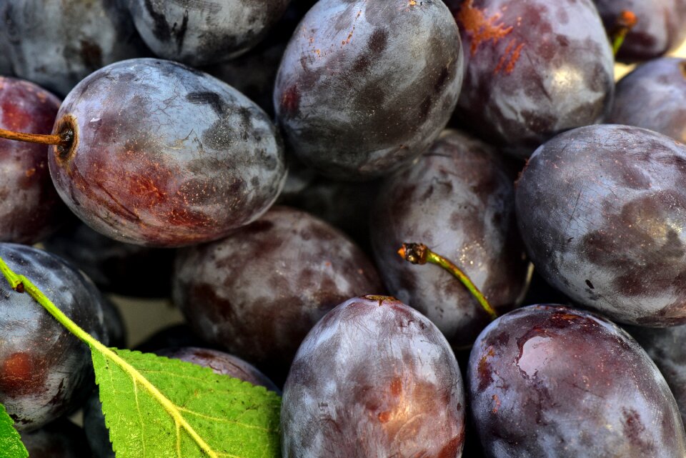 Stone fruit ripe vitamins - Free Stock Photos | Creazilla