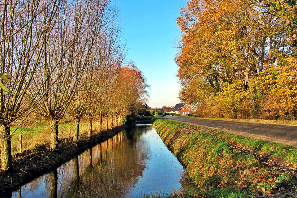 Fall colors netherlands landscape