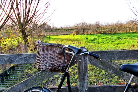 Willow pasture outdoor
