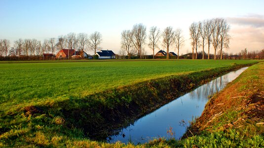 Trees water landscape