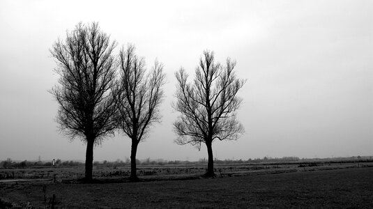 Winter winterblue depression