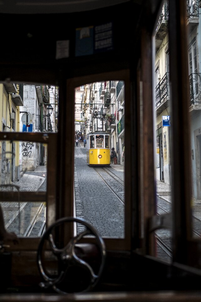 Travel color ascensor