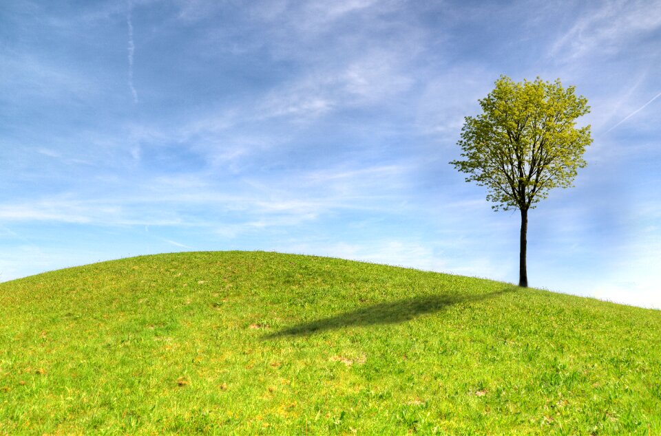 Nature landscape hayfield