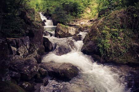 Water nature stream