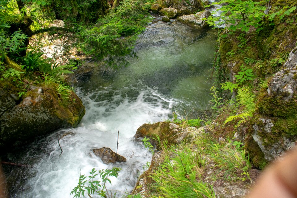 Water nature stream photo