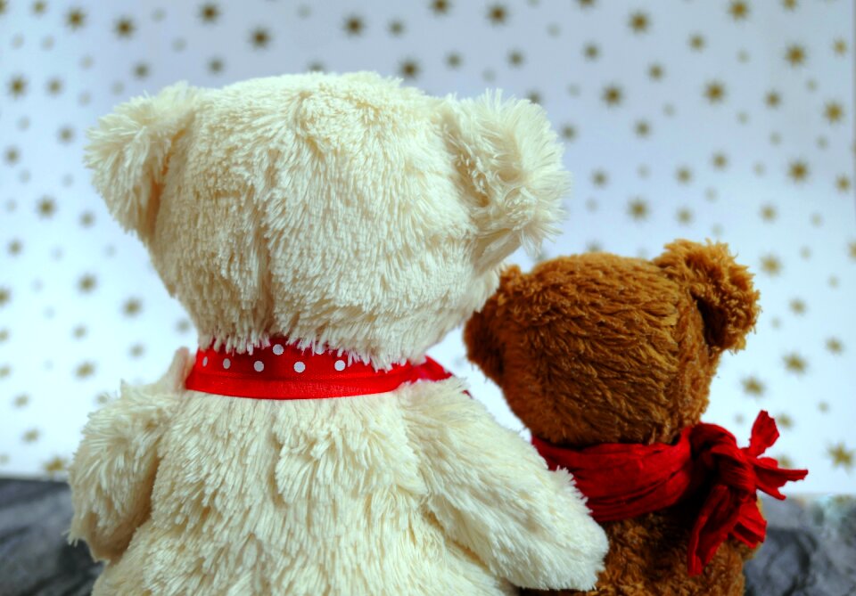 Mascot teddy bear teddy