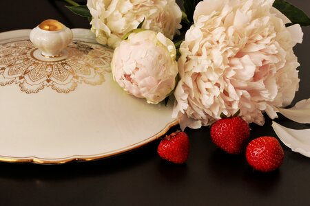 Strawberries noble white
