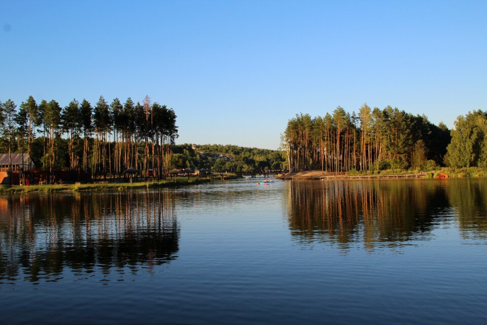 Water krasnobrod tree