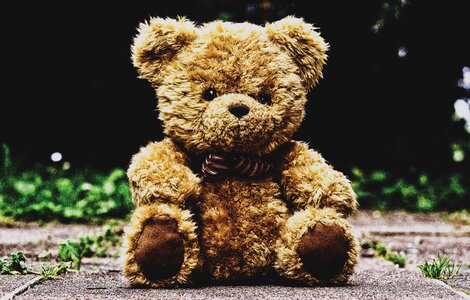Furry teddy bear children toys cute