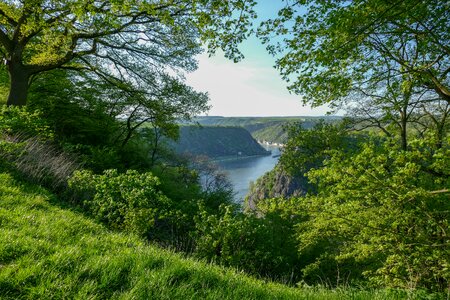 Sage river rhine