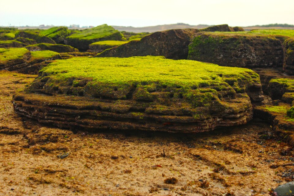 Seascape serene the nature of the