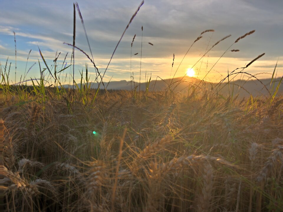 Sky clouds fields