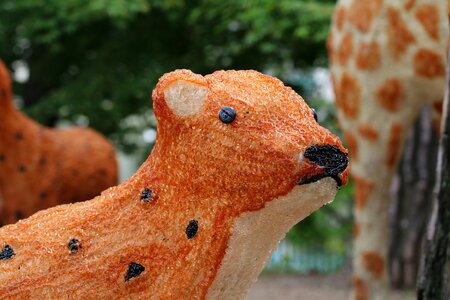 Park animal light