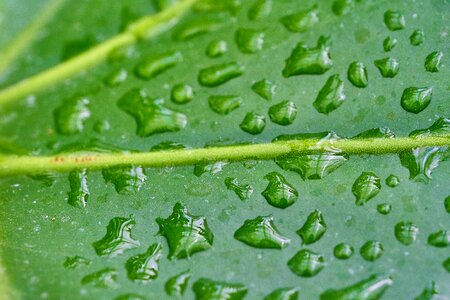 Wet drip macro