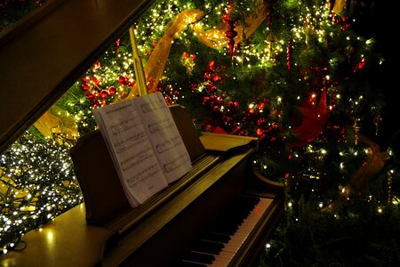 Seasonal december celebration