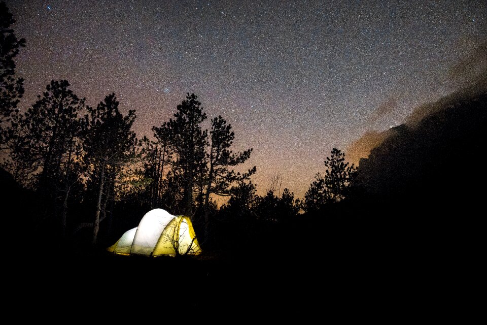 Blue buzzer camping