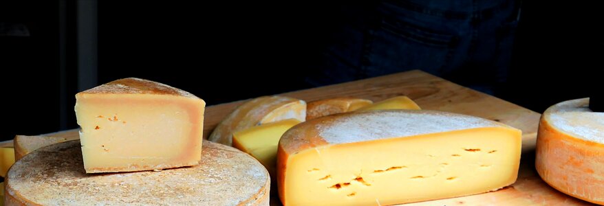 Hard cheese delicious eat