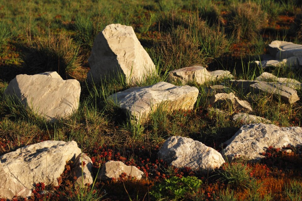 Dry summer rock gardens photo