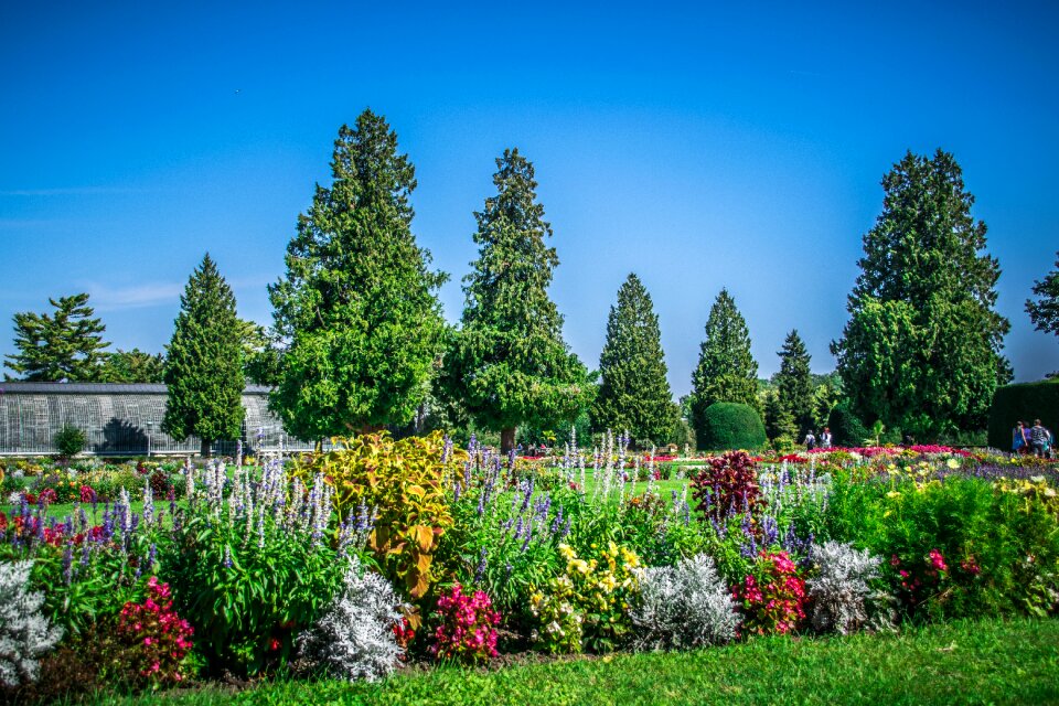 Architecture historically garden