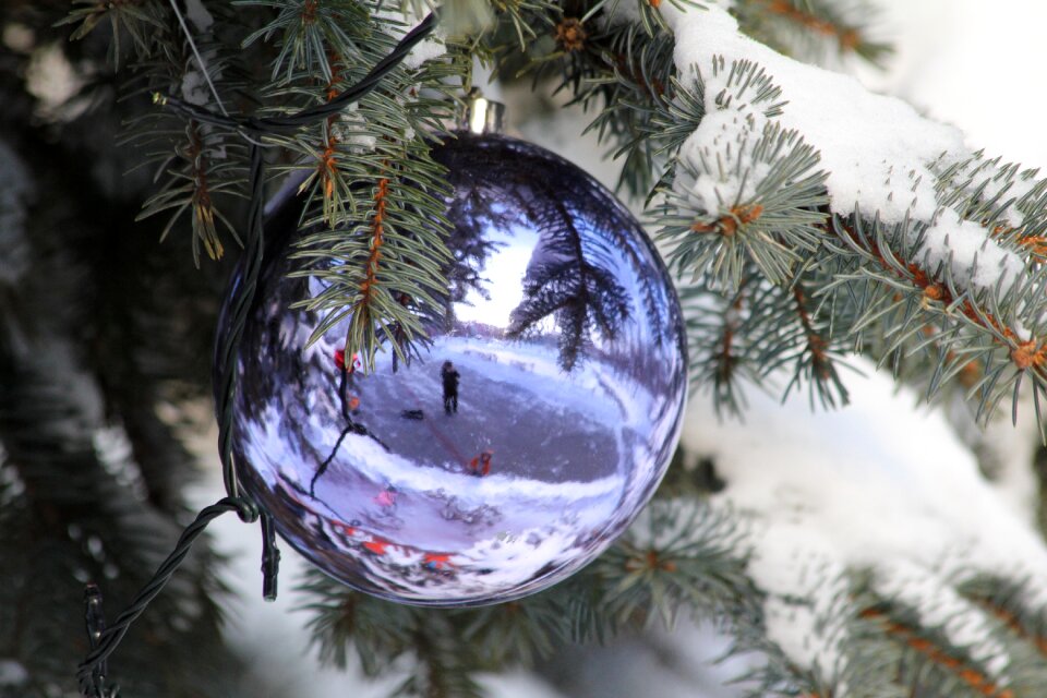 Christmas winter background