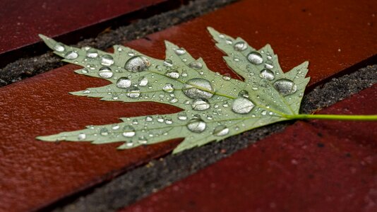 Water close up wet sheet