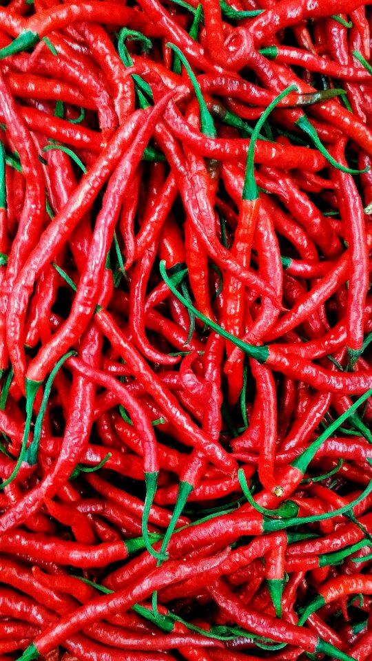 Red texture red texture