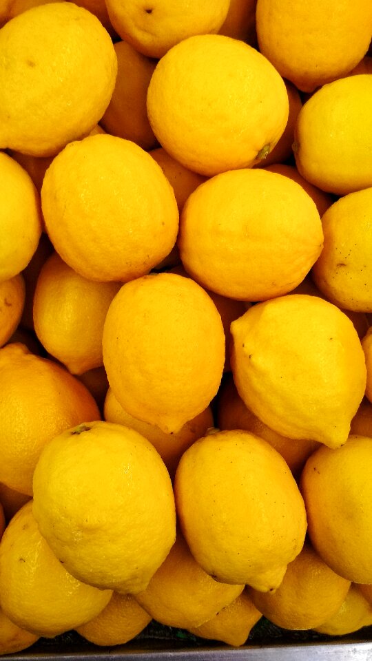 Orange juicy fresh