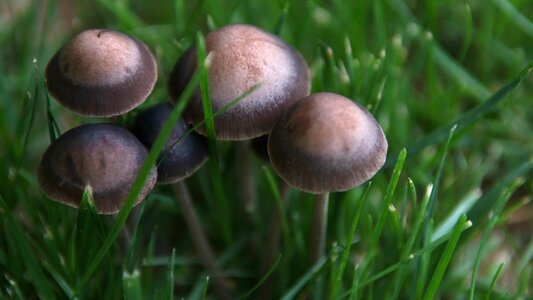 Nature garden abstract
