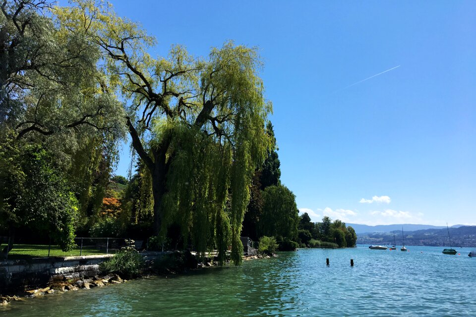Summer swim landscape