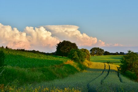 Landscape blue mood photo