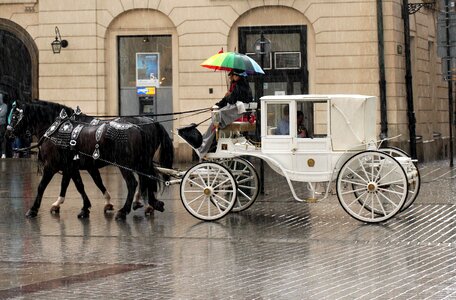 Transport tourism tour