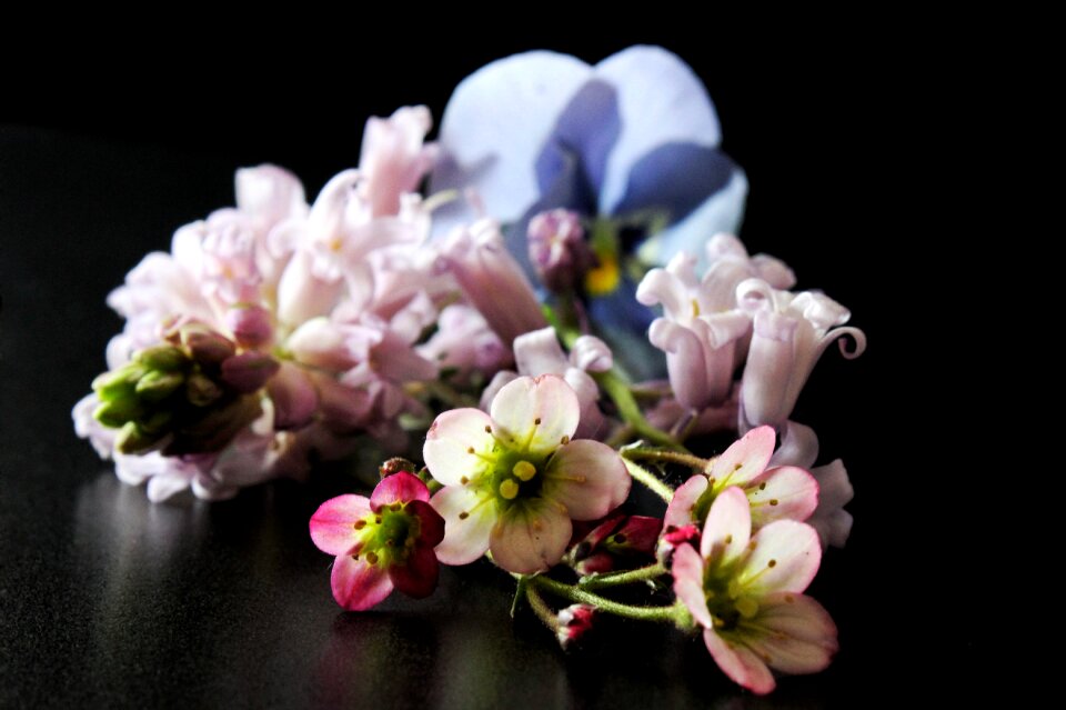 Pastel color black background