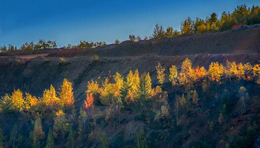 Autumn nature landscape