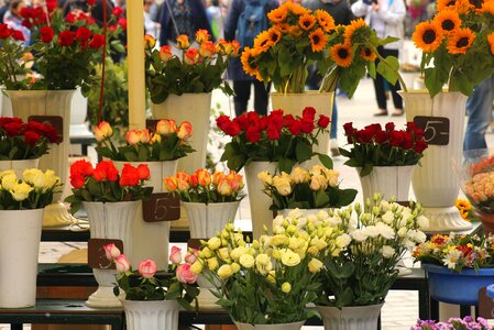 Bouquet the market summer