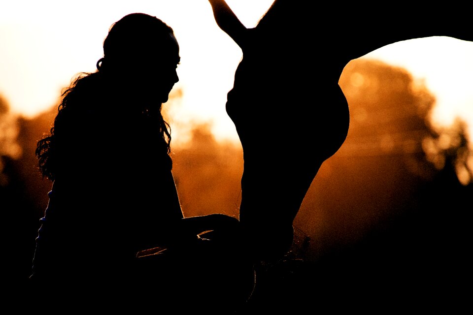 Girl woman silhouette