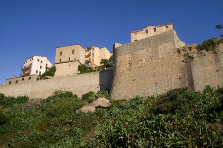 Fortress ramparts prickly pear