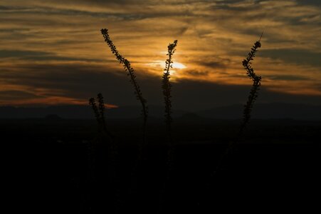 New mexico twilight