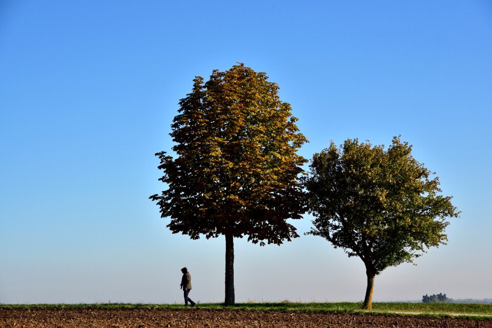 Nature landscape pedestrian