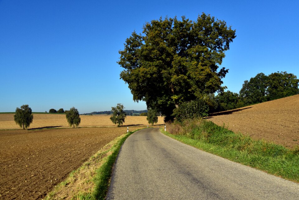 Scenic sky just