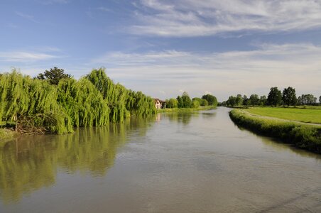Torrent environment landscape