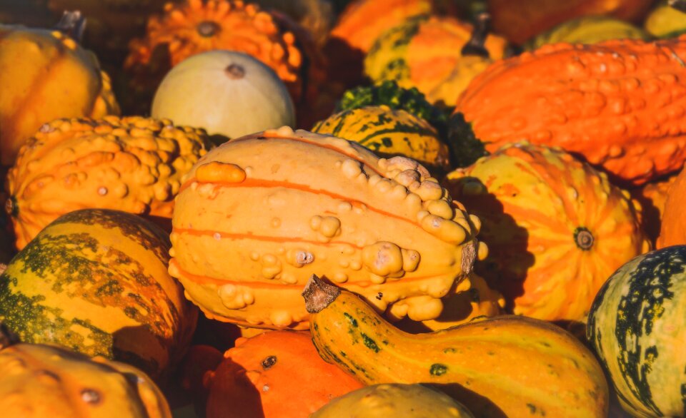 Decoration halloween colorful