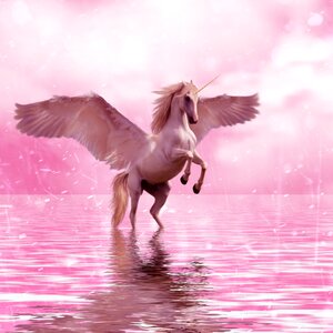Fairy tale unicorn horse photo
