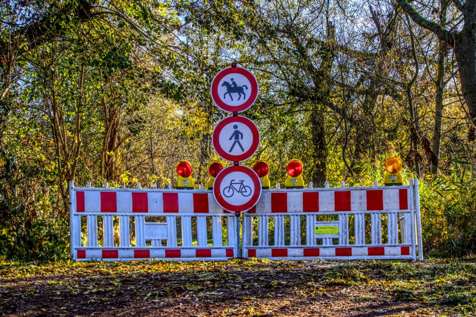 Locked pedestrian horses