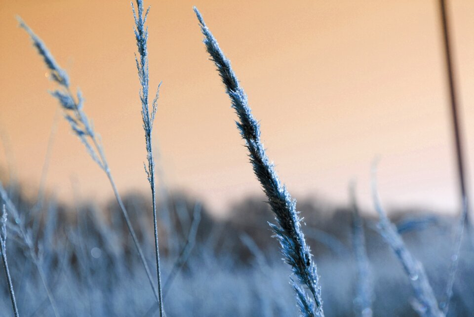 Cold landscape sunrise