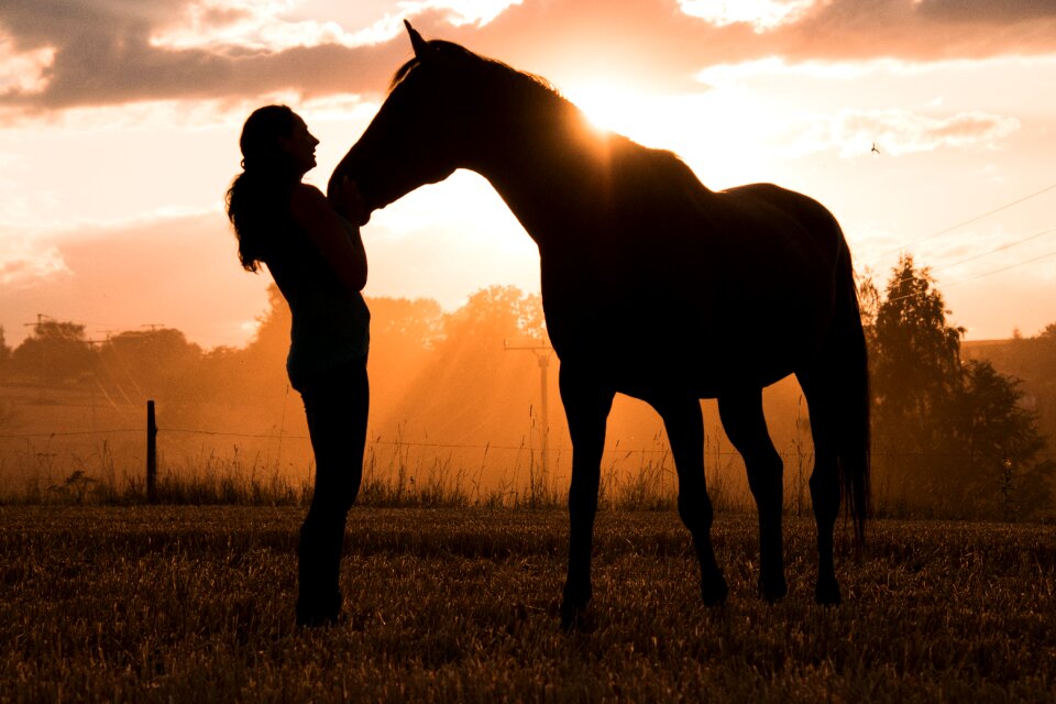 Woman silhouette evening sun