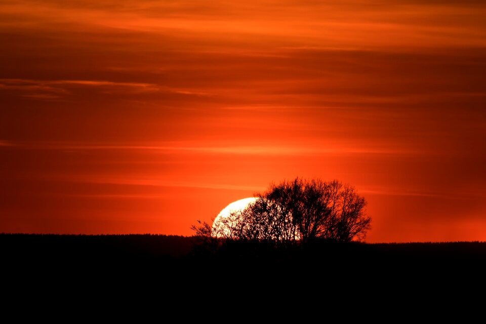 Setting sun trees evening sky