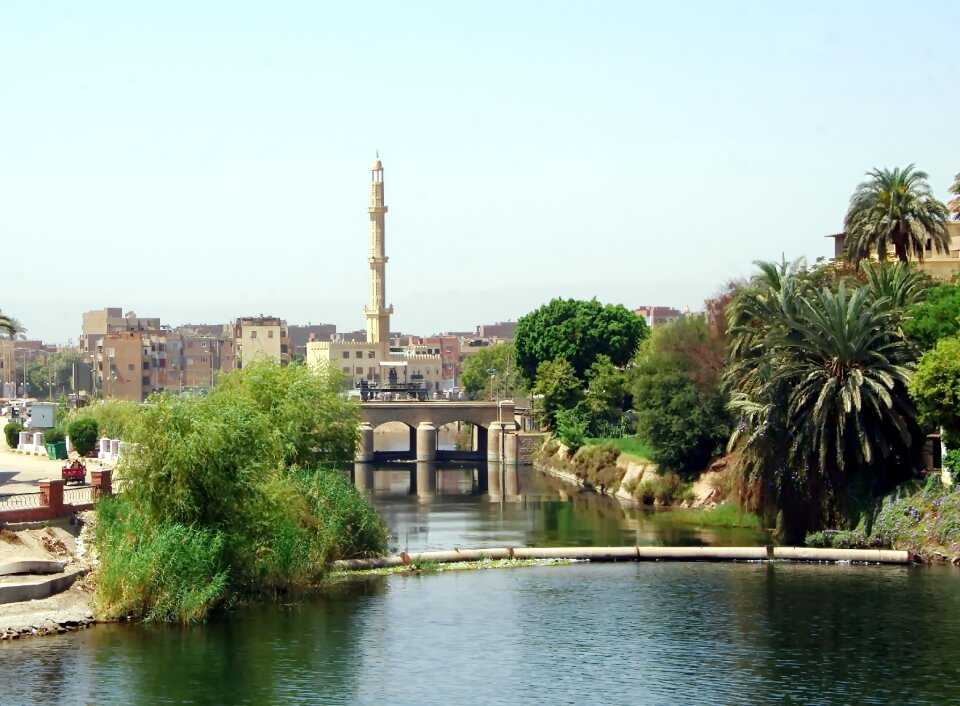 Minaret tree body of water