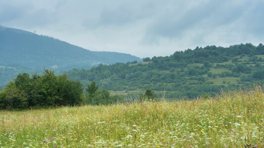 Small tatras forest recovery